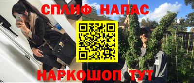 прущие грибы Лесосибирск